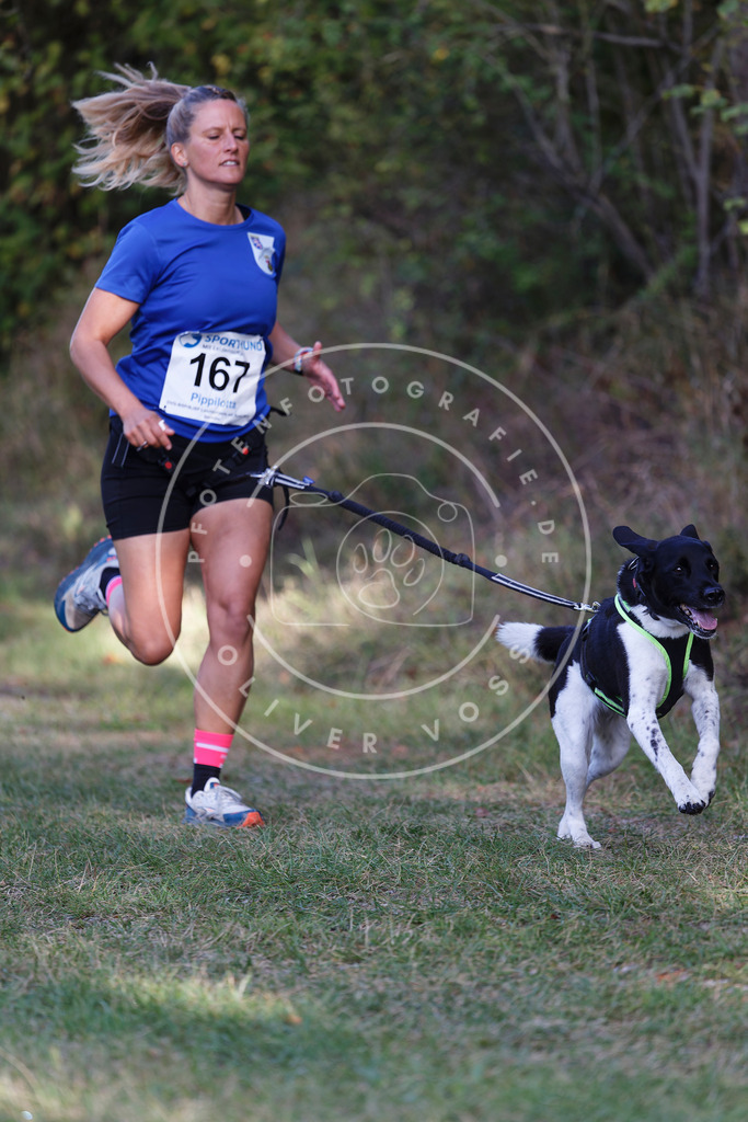 0L8A5276 | Hundefotografie, Tierfotograf, Pfotenfotografie, Fotoshooting Hund, Hunde Portrait, Hundesport, Hundeportraits, Heideshooting, Hunde, Sportfotograf, Hundefotograf, Turnierhundsport, THS,  - Realisiert mit Pictrs.com