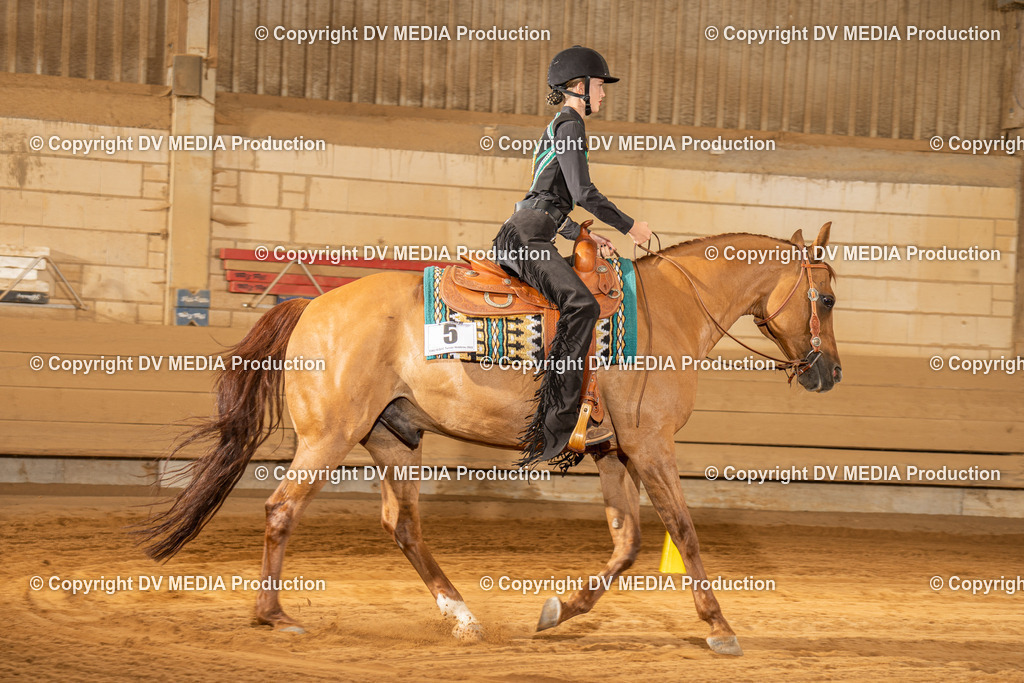 NID03539 | dv-media-shop - Realisiert mit Pictrs.com