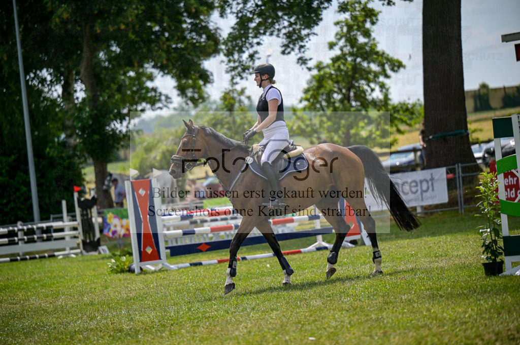 Reitturnier Voxtrup | Entdecke hochwertige Reitturnierfotos von Foto Oger. Professionell, emotional und authentisch – jetzt Lieblingsmomente im Shop bestellen.Deutschlandweite Turnierfotografie. - Realisiert mit Pictrs.com