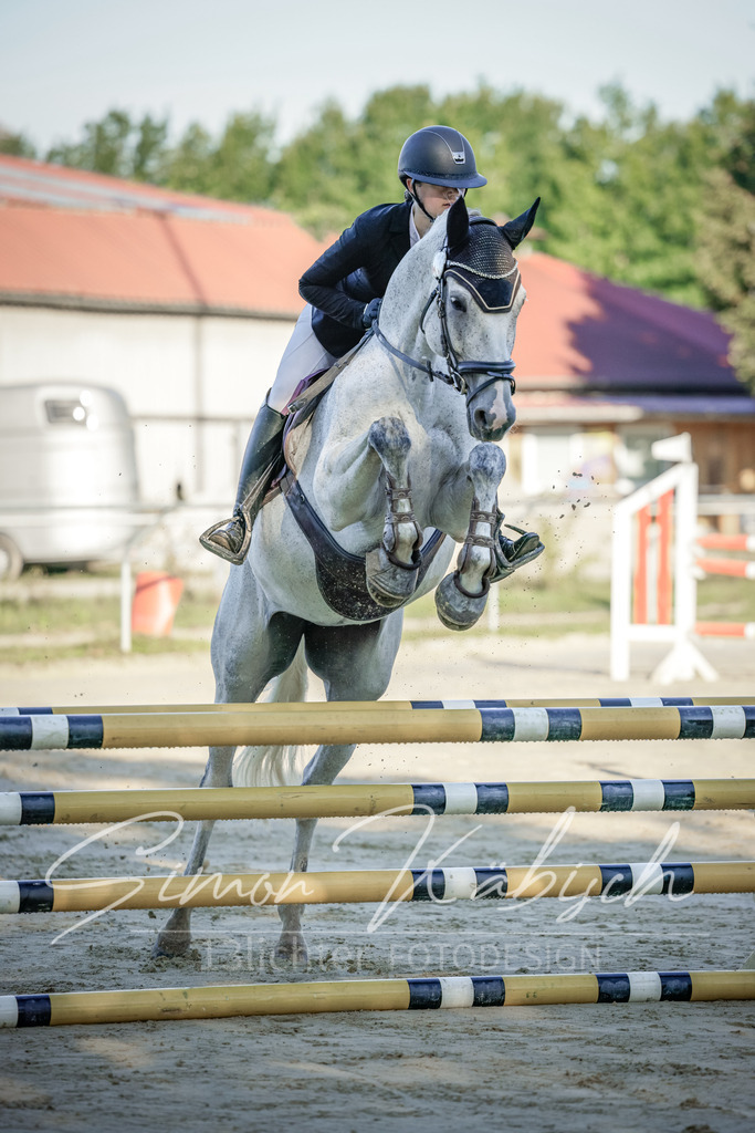 20250906-_3LI2914 | Tierfotografie Pferde, Hunde, Katzen, Haustiere.
Turnierfotografie Reitturniere, Reiten, Springreiten, Dressur in Hanau, dem Main-Kinzig-Kreis und dem Rhein-Main- Gebiet um Frankfurt