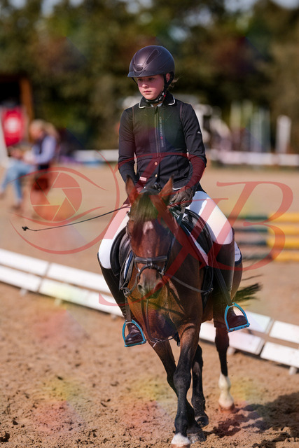 2026_10_03_Siefer-Hof_121005_Z81_11913332 | Professionelle Reitsport-, Turnier- und Eventfotografie von Robert Broda. Galerien mit ausgewählten und bearbeiteten Bildern direkt online ansehen und bestellen.
