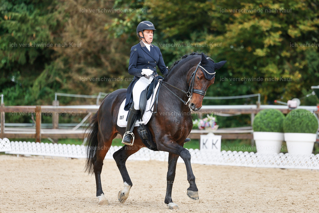 07-007-DRESSUR  S___  -StoibPH-5024 | working equitationturnier fotograf videograf stoibphotography marixx film working equitation deutschland reitsport turnierfotografie eventfotografie equestrian events