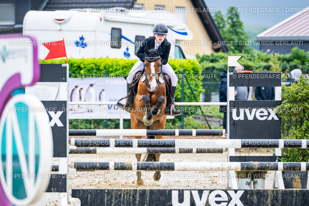 DSC03240 | Pferdegrafie