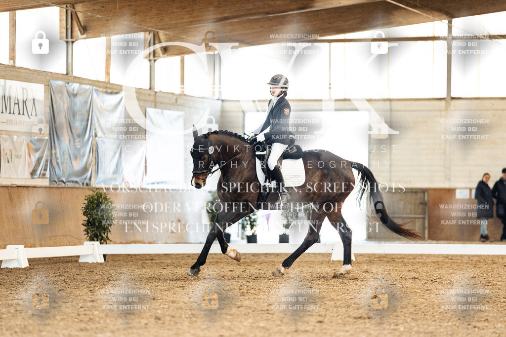 CK909864 | Turnierfotografie Pferdefotografie Trier Rheinland-Pfalz Pferdesport Reitsport Tierfotografie Sportfotografie Pferdevideo Pferdevideografie Equestrianvideography equestrianphotography  - Realisiert mit Pictrs.com