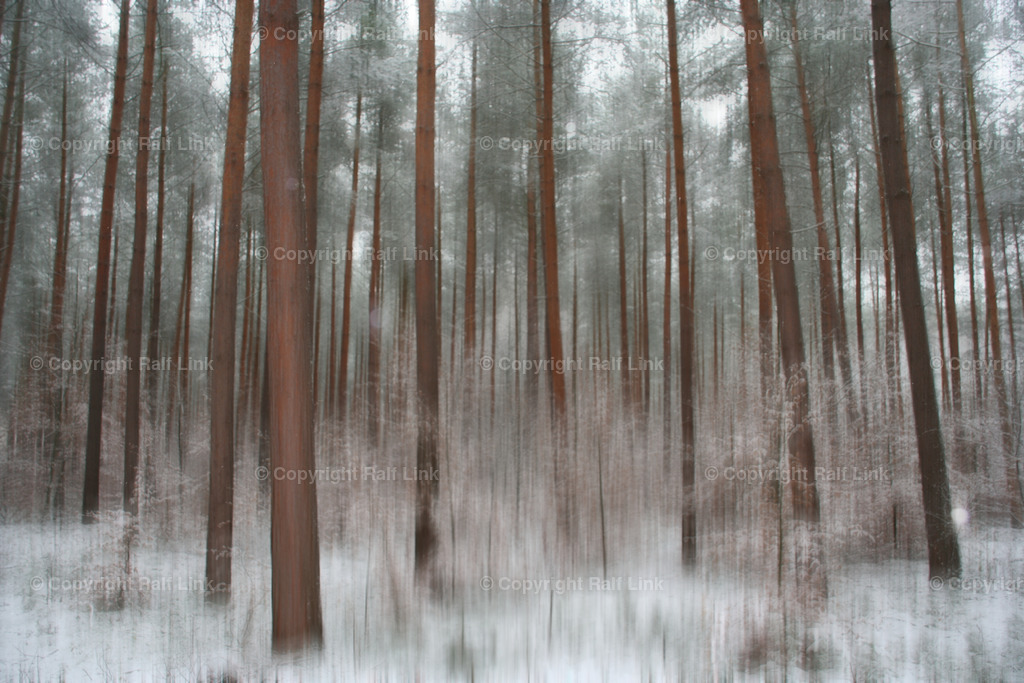 Bäume unscharf Winter | Stockfotos, Fotos mit Miniaturfiguren und kreativen Ideen. Dabei auch vieles aus der Metropolregion Rhein-Neckar. 
