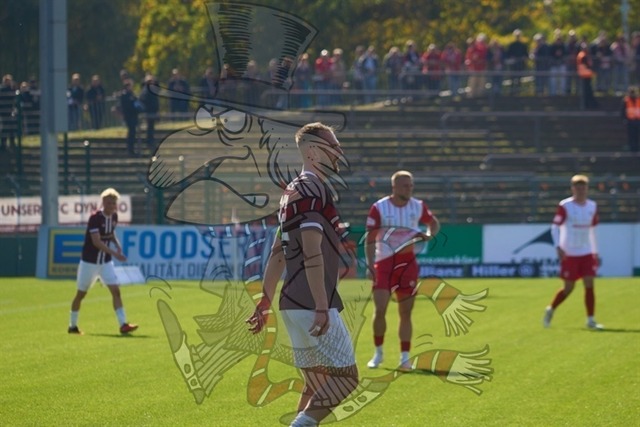 BFC Dynamo vs. FSV Zwickau 043 | mythos-online-redaktion