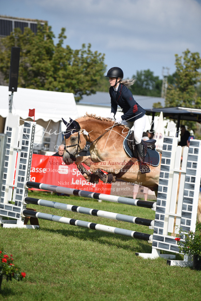 DSC_8898 | Pferde- und Turnierfotografie in Westsachsen. Pferdeportraits, Auftragszeichnungen und intuitive Kunst.