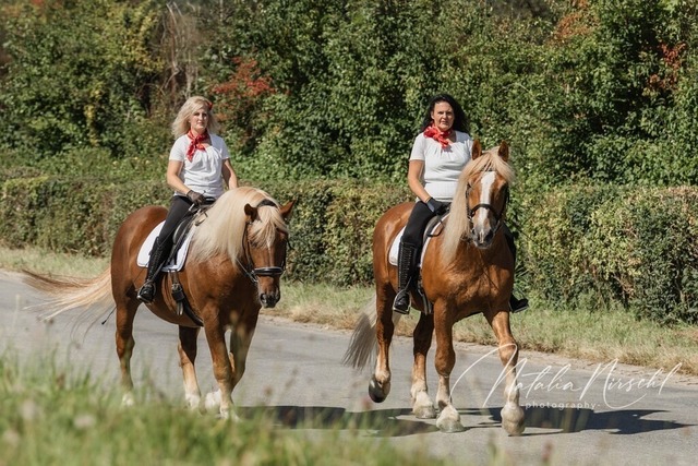 7V6A1068 | natalia-nirschl-photography