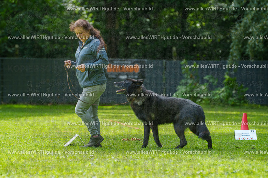 @allesWIRTHgut_Tierfotografie - www.allesWIRTHgut.de - 7R504723 | Professionelle Tierfotografie in Mönchengladbach von Daniel Wirth (allesWIRTHgut). Liebevolle & natürliche Bilder von Hunden & Katzen für unvergessliche Erinnerungen.