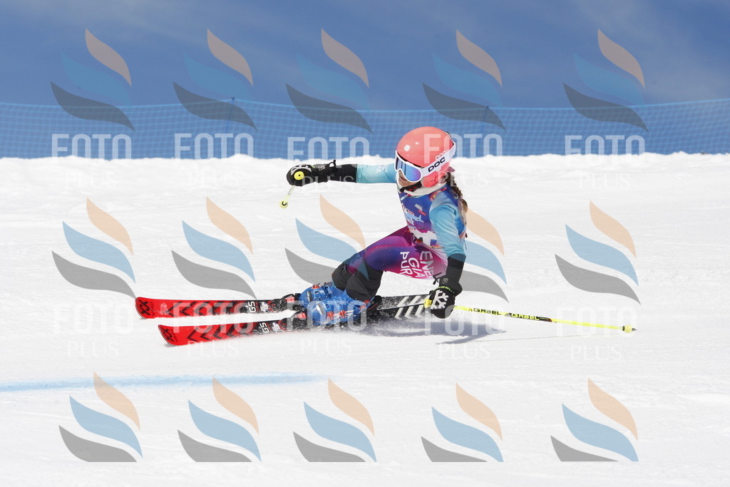 _W1G2165 | holidayphoto