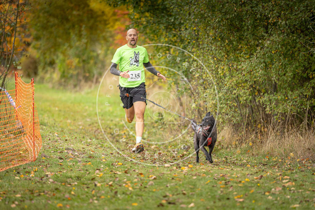 Pfotenfotografie_DV3A4401 | Hundefotografie, Tierfotograf, Pfotenfotografie, Fotoshooting Hund, Hunde Portrait, Hundesport, Hundeportraits, Heideshooting, Hunde, Sportfotograf, Hundefotograf, Turnierhundsport, THS,  - Realisiert mit Pictrs.com