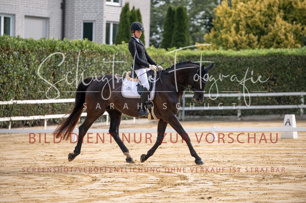 Schugtsche-Aluta25-40.DressurprfA_-21 | Schugtsche Fotografie - Realisiert mit Pictrs.com