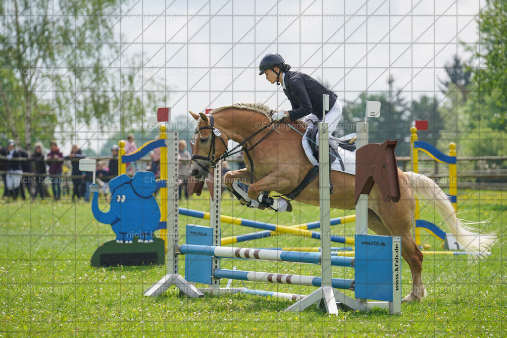 20240509-FAH02314 | Turnierbilder der Turnierfotografen Bayern, Pferdesport Fotografie, Reitsportbilder, Turnier Landberg am Lech, Turnierbilder bayern, Fotoagentur Herrmann