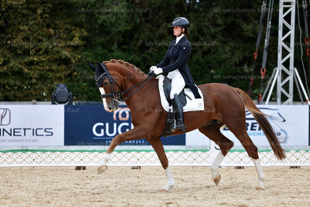 11-201-Dressur S___-StoibPH-937 | working equitationturnier fotograf videograf stoibphotography marixx film working equitation deutschland reitsport turnierfotografie eventfotografie equestrian events