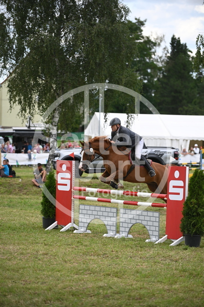 DSC_7187 | sattelsport - Realisiert mit Pictrs.com