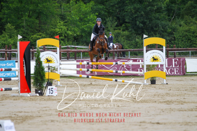 DKP41753 | Turniersportfotografie; Pferdefotografie; Dressurfotografie