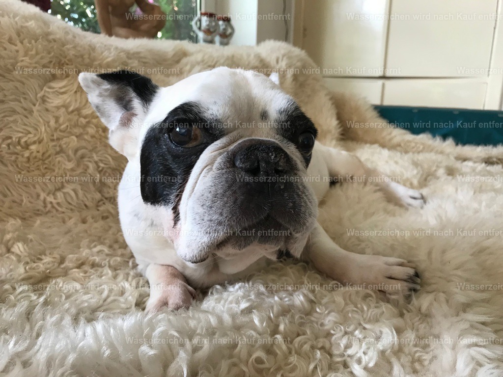 IMG_1364 | heikomoeller - Realisiert mit Pictrs.com