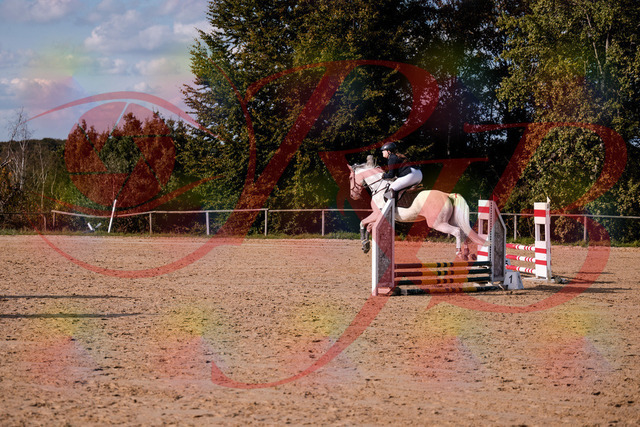 2026_10_03_Siefer-Hof_153917_Z81_54189484 | Professionelle Reitsport-, Turnier- und Eventfotografie von Robert Broda. Galerien mit ausgewählten und bearbeiteten Bildern direkt online ansehen und bestellen.