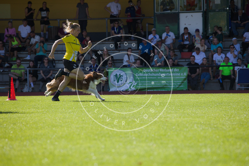 0L8A8481 | Hundefotografie, Tierfotograf, Pfotenfotografie, Fotoshooting Hund, Hunde Portrait, Hundesport, Hundeportraits, Heideshooting, Hunde, Sportfotograf, Hundefotograf, Turnierhundsport, THS,  - Realisiert mit Pictrs.com