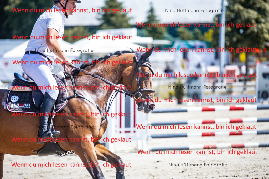 BK1A5296 | Turnierbilder Turnierfotos Nina Hüffmann Turnierfotografie Pferdefotografie Tierzeichnung Haustierzeichnung Pferdezeichnung Hundezeichnung Videograf  - Realisiert mit Pictrs.com