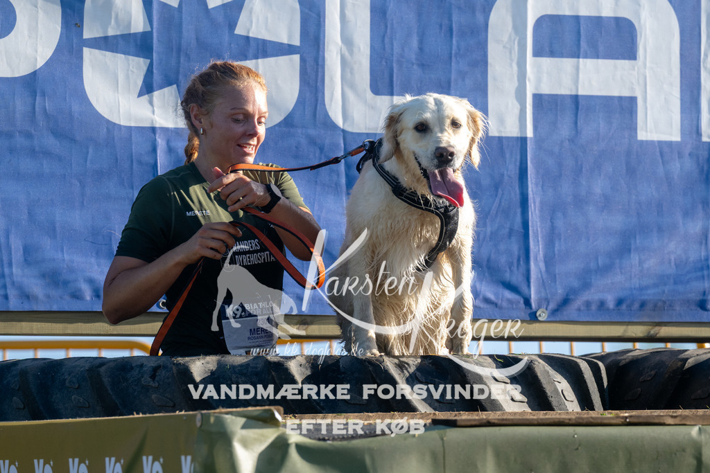 0828_ZZ93849 | kk-dogfotos