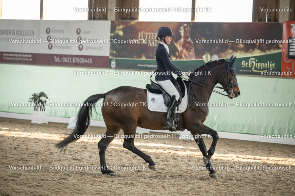 _D5A3267 | Emotionale Pferde- & People-Fotografie rund um Heidelberg, Leimen & Umgebung. Natürliche Fotos von Pferd, Mensch & Familie. Jetzt Termin sichern!