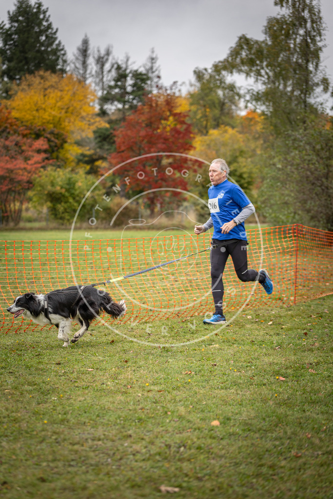 Pfotenfotografie_DV3A4069 | Hundefotografie, Tierfotograf, Pfotenfotografie, Fotoshooting Hund, Hunde Portrait, Hundesport, Hundeportraits, Heideshooting, Hunde, Sportfotograf, Hundefotograf, Turnierhundsport, THS,  - Realisiert mit Pictrs.com