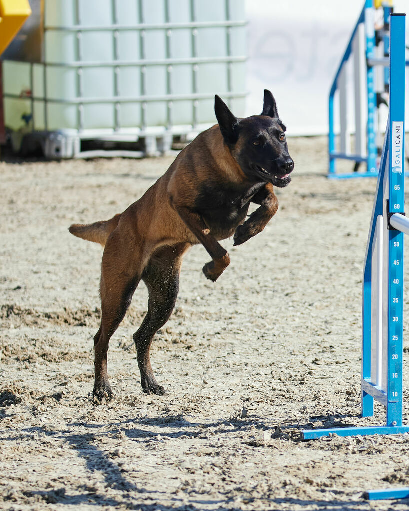 580A0151 | Peter Fridle Fotografie - Realisiert mit Pictrs.com