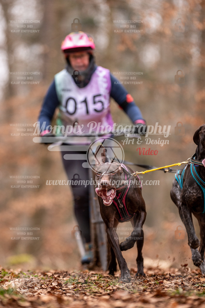 AKM_ST_2023_SAM_DS2-15 | PayLife