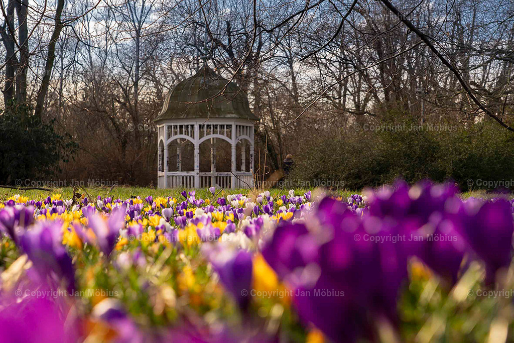 Johanna-Park | Der Johanna-Park in Leipzig verbindet Ruhe, Natur und Citynähe – ideal für Spaziergänge, Entspannung und Ausblicke auf die Stadtkulisse. - Realisiert mit Pictrs.com