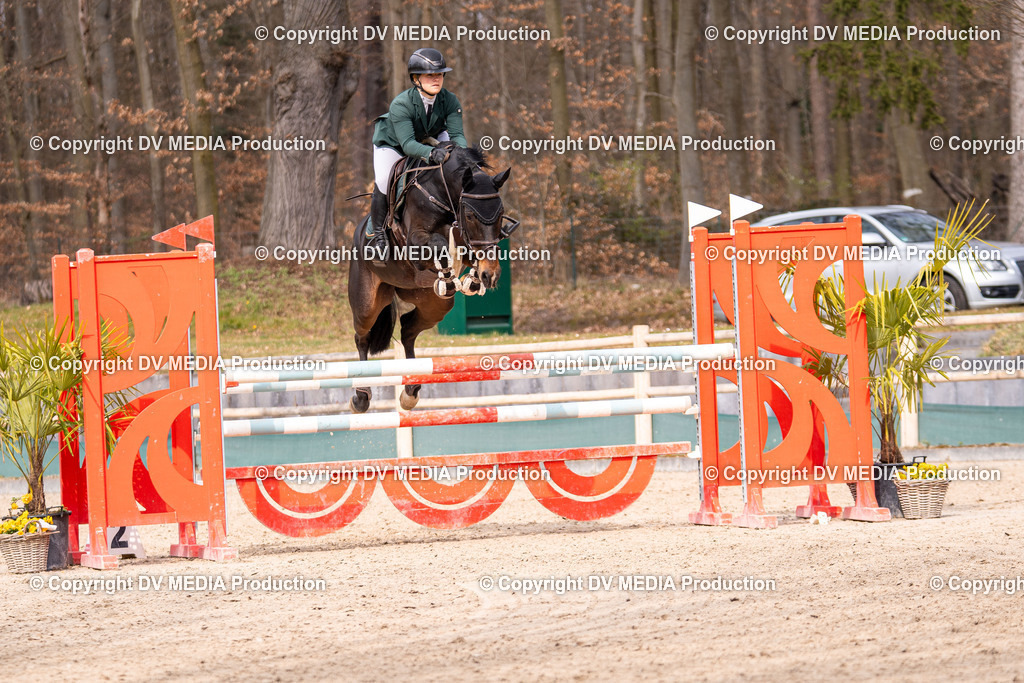 Kranichstein Tag 2-2042 | dv-media-shop - Realisiert mit Pictrs.com