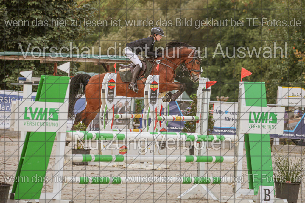 2025-09-22_09-34-22_MG_3602 | TE-Fotos