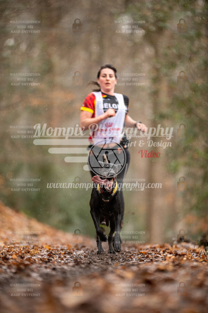 SPA_2023_DIM_CCL-58 | PayLife