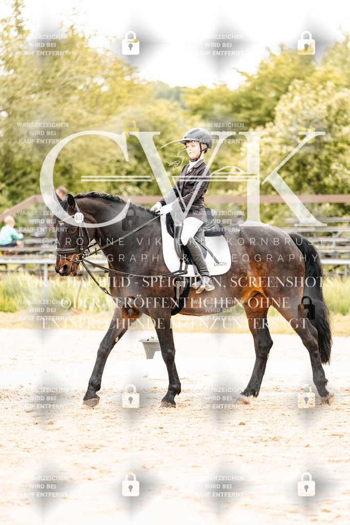 CK904182 | Turnierfotografie Pferdefotografie Trier Rheinland-Pfalz Pferdesport Reitsport Tierfotografie Sportfotografie Pferdevideo Pferdevideografie Equestrianvideography equestrianphotography  - Realisiert mit Pictrs.com