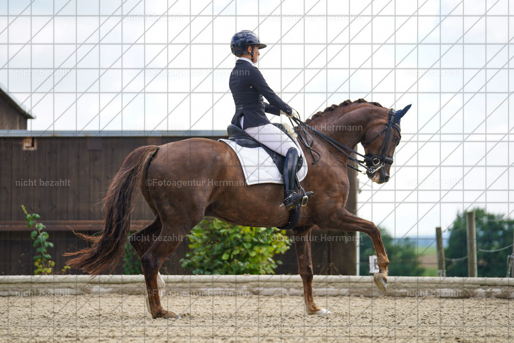 20230826-FAH05798 | Forstinning, 2023, Dressurturnier, Turniersportbilder, Turnierfotografen Bayern, Fotoagentur Herrmann, Reitsportfotografie, Turnierbilder