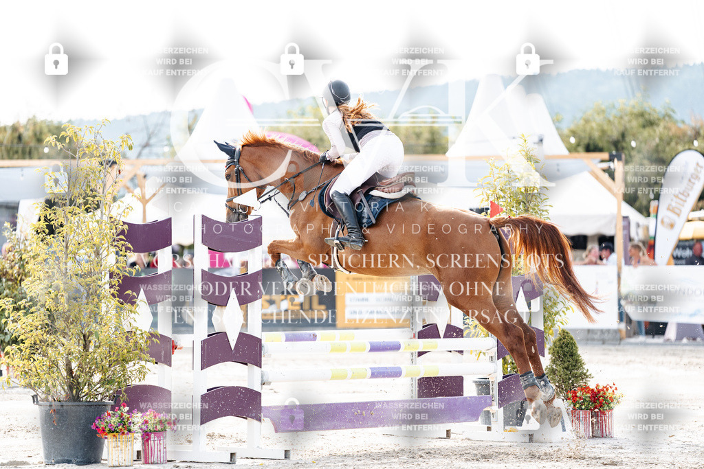 CK906329 | Turnierfotografie Pferdefotografie Trier Rheinland-Pfalz Pferdesport Reitsport Tierfotografie Sportfotografie Pferdevideo Pferdevideografie Equestrianvideography equestrianphotography  - Realisiert mit Pictrs.com