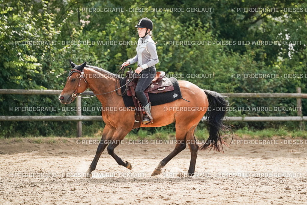 DSC04995 | Pferdegrafie