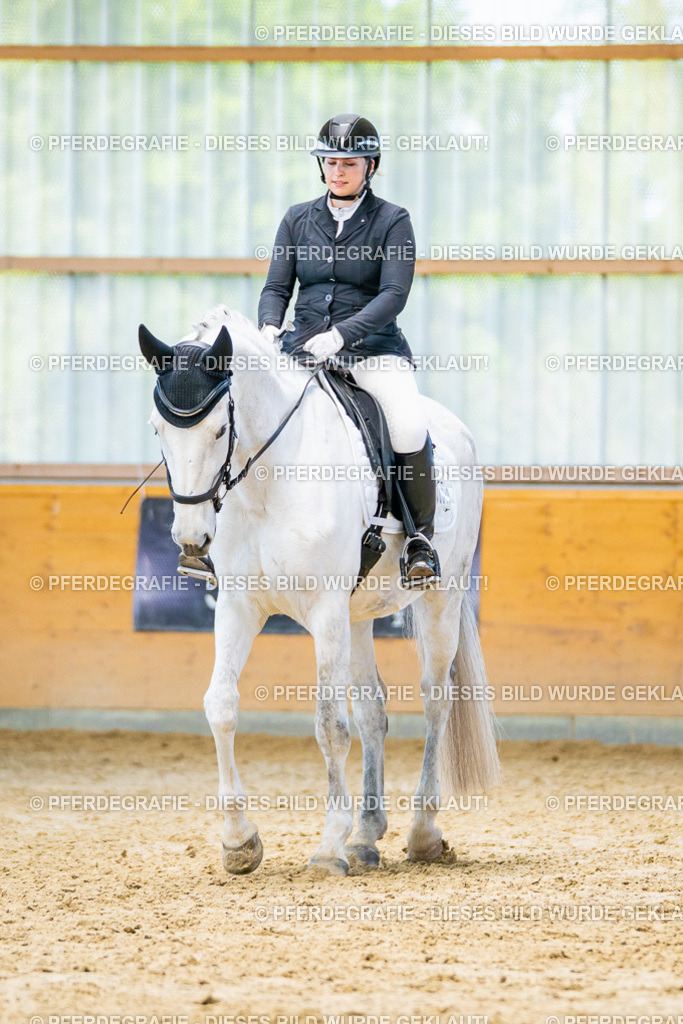 DSC07791 | Pferdegrafie