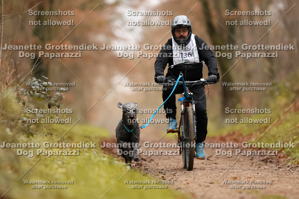 Dog Paparazzi - Speedhunter Mannheim  2025-381 | Dog Paparazzi Jeanette Grottendiek Fotografie & Videografie