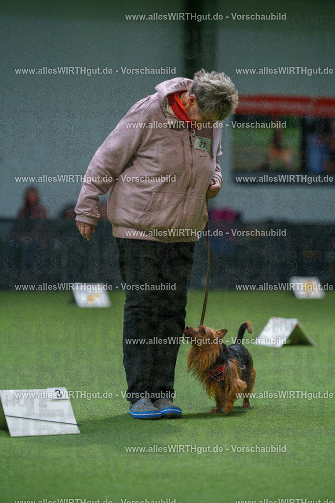 7R500407 | Professionelle Tierfotografie in Mönchengladbach von Daniel Wirth (allesWIRTHgut). Liebevolle & natürliche Bilder von Hunden & Katzen für unvergessliche Erinnerungen.
