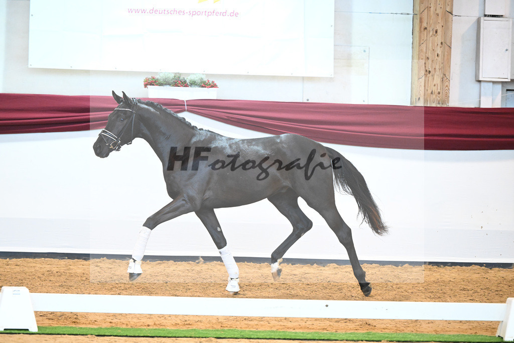 Kat-Nr. 25 v. Donier_Koch_66220262 | hf-fotografie - Realisiert mit Pictrs.com