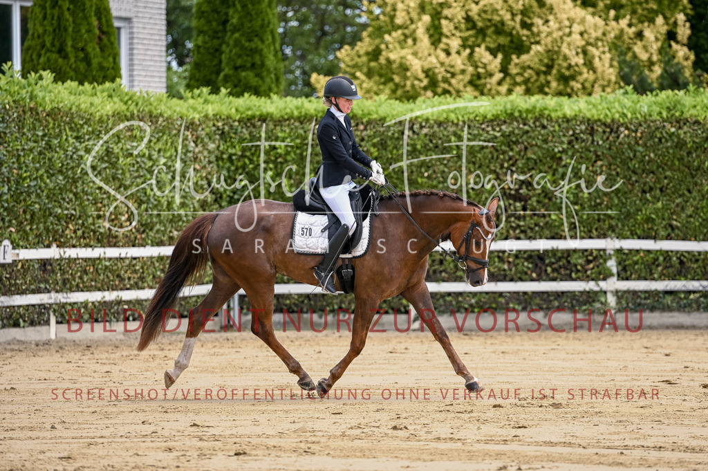 Schugtsche-Aluta25-48.Reitpferfdeprf.-108 | Schugtsche Fotografie - Realizzato con Pictrs.com