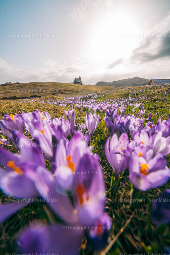 Velika Planina20 | piet_flosse