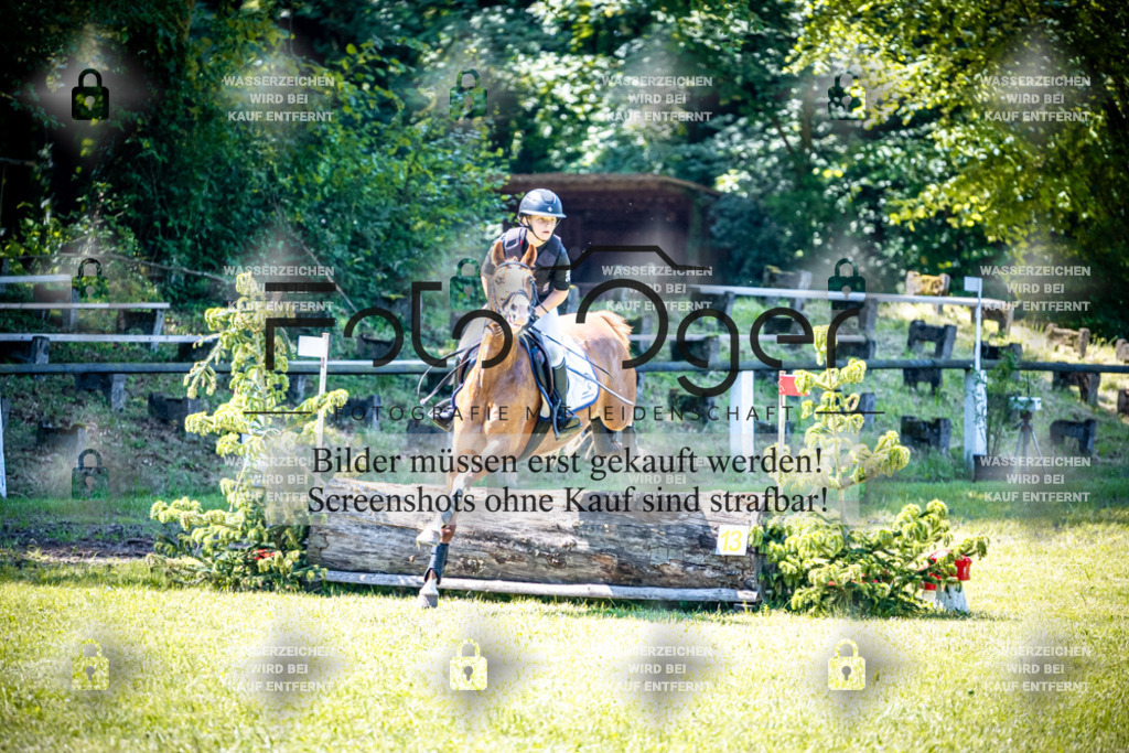 2026-05 - Melle Oldendorf-1-0049 | Entdecke hochwertige Reitturnierfotos von Foto Oger. Professionell, emotional und authentisch – jetzt Lieblingsmomente im Shop bestellen.Deutschlandweite Turnierfotografie. - Realisiert mit Pictrs.com