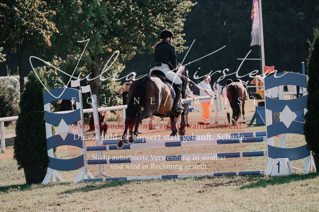 DSC_4802 | Pferde- und Turnierfotografie in Westsachsen. Pferdeportraits, Auftragszeichnungen und intuitive Kunst.