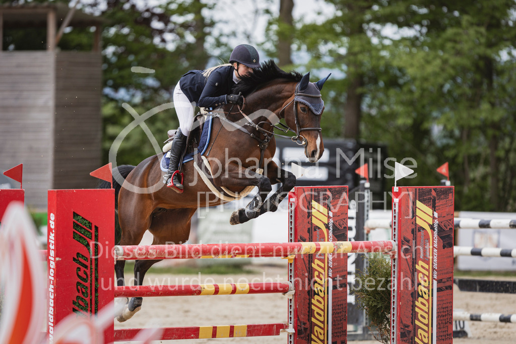 250504_SpengeW_M2-Spr-461 | Deine schönsten Turniermomente als professionelle Fotos! Entdecke hochwertige Pferdesport-Fotografie im Online-Shop. Jetzt Fotos finden & bestellen!