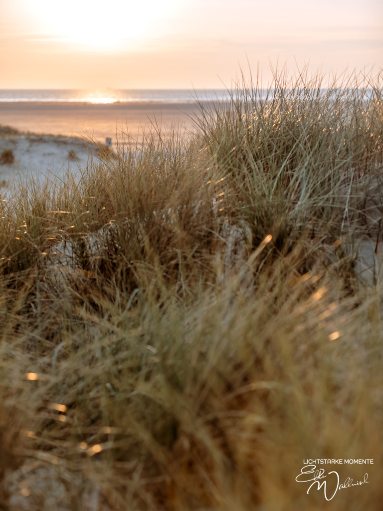 20240508-202154 NORDSEE SPO _339-1 | Herzlich willkommen auf meiner Seite! Ich bin Elke Wallnisch, Deine Fotografin für lichtstarke Momente. Der Name steht für alles, was mich mit der Fotografie verbindet: Das Licht und seine machtvolle Wirkung auf eine Situation oder unsere Stimmung - Realisiert mit Pictrs.com