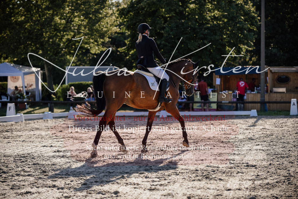 DSC_0676 | Pferde- und Turnierfotografie in Westsachsen. Pferdeportraits, Auftragszeichnungen und intuitive Kunst.