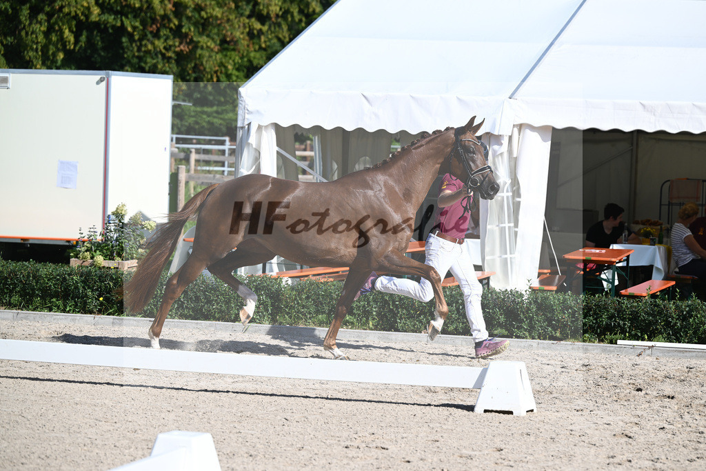 Kat-Nr. 20 Qaskiya_Kloessinger_36230813 | hf-fotografie - Realisiert mit Pictrs.com
