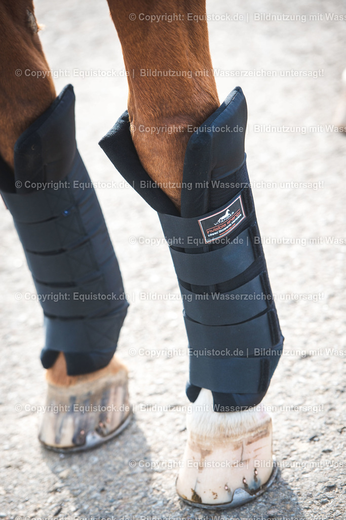 20191030_Wärmegamaschen_0002 | equistock